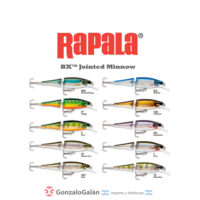 RAPALA M18 BX™ Jointed Minnow