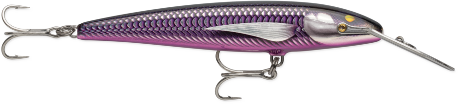 Señuelo RAPALA COUNTDOWN MAGNUM ELITE - Imagen 6