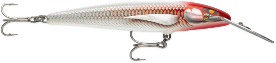 Señuelo RAPALA COUNTDOWN MAGNUM ELITE - Imagen 5