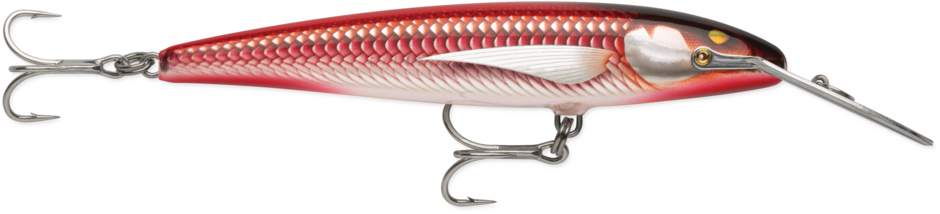 Señuelo RAPALA COUNTDOWN MAGNUM ELITE - Imagen 3